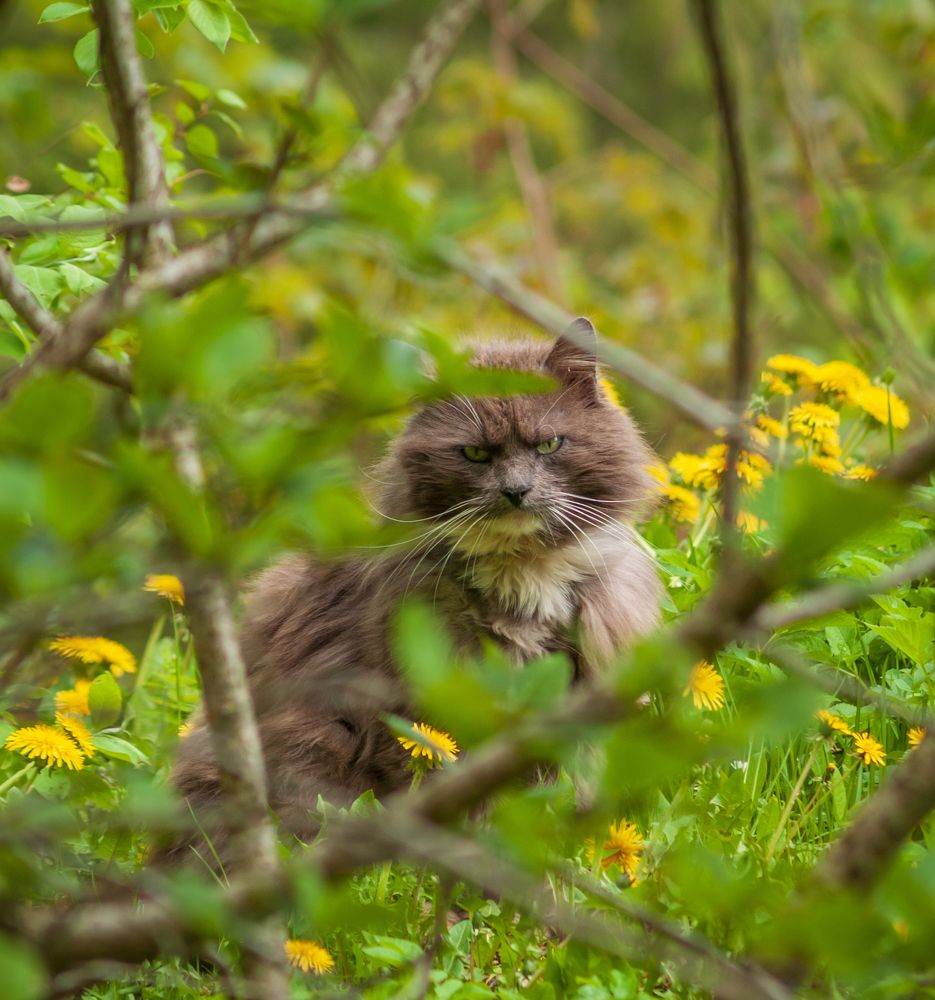 Photograph by Agita Leimane