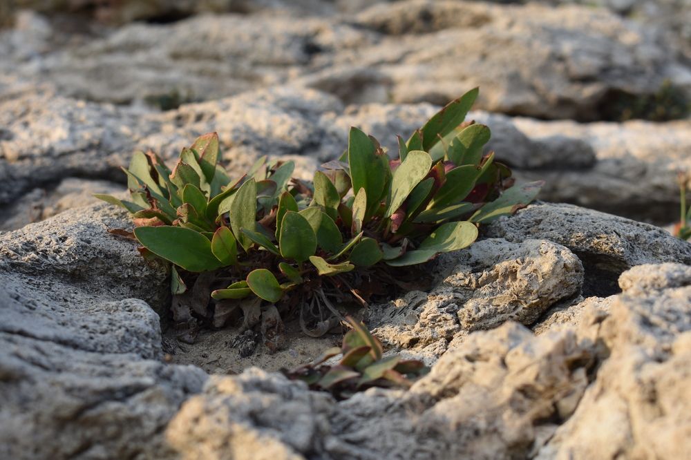 Фотография автора АНАСТАСИЯ ЛЕВИНА