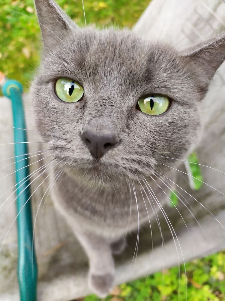 Фотография автора АНАСТАСИЯ ЛЕВИНА