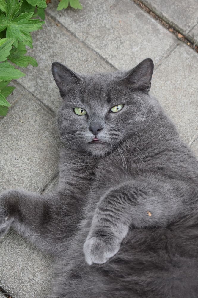 Фотография автора АНАСТАСИЯ ЛЕВИНА