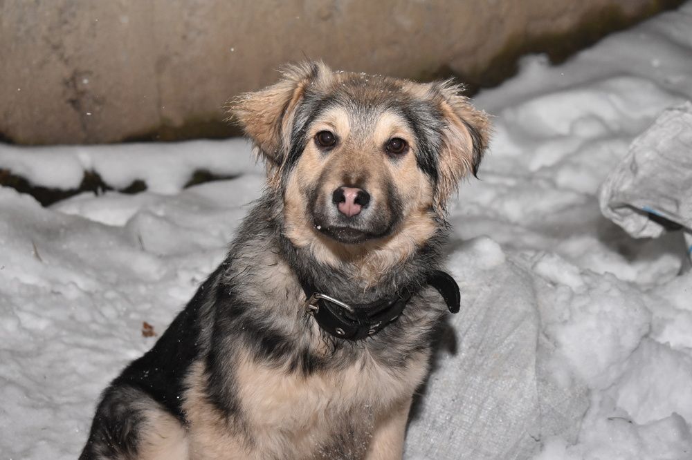 Фотография автора АНАСТАСИЯ ЛЕВИНА