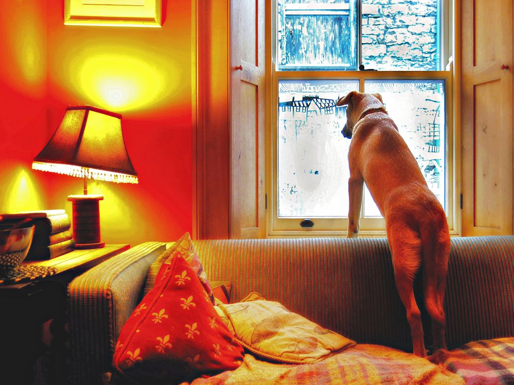 Photograph by Viviana García