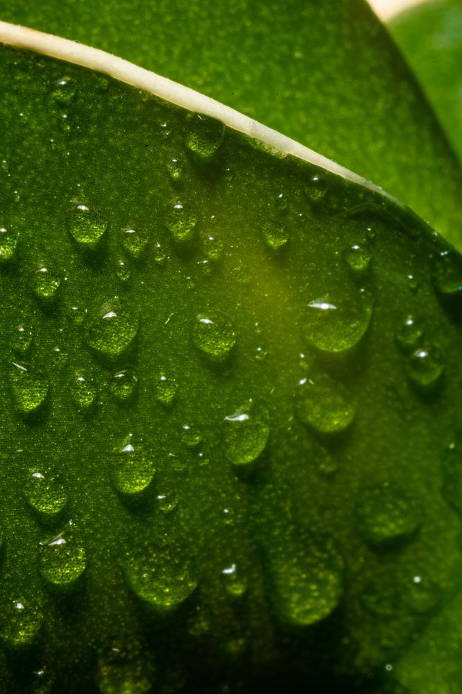 Photograph by Князев Сергей