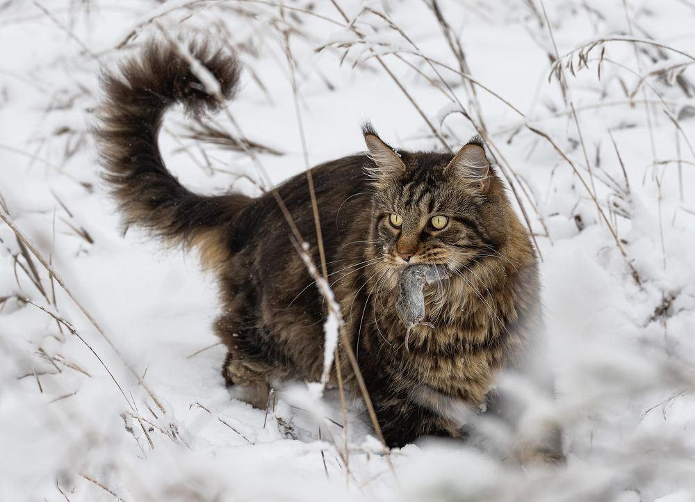 Photograph by NADEZHDA PELYMSKAIA