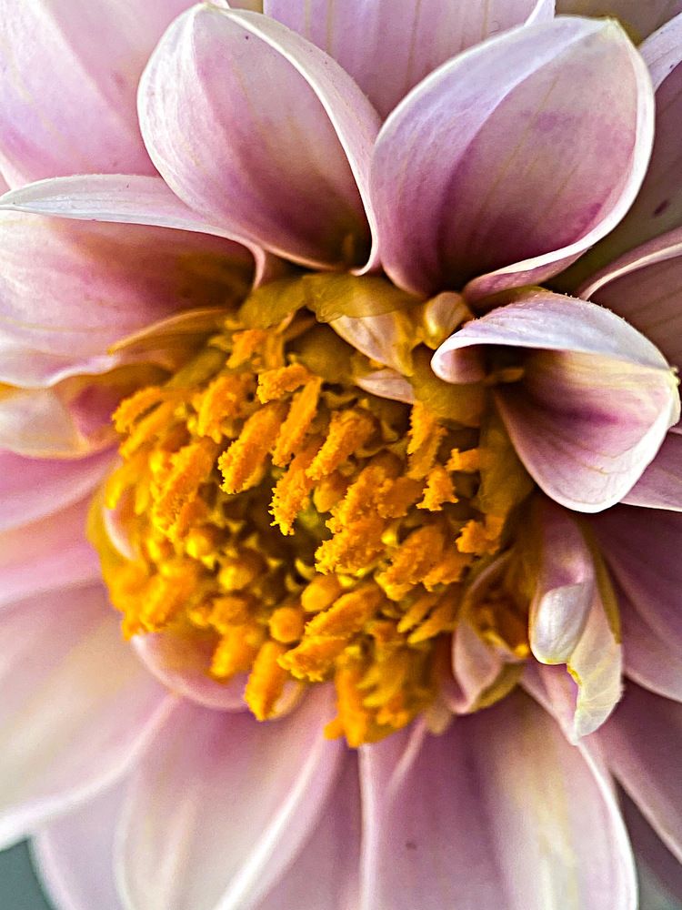 Photograph by Александра Гонтарь