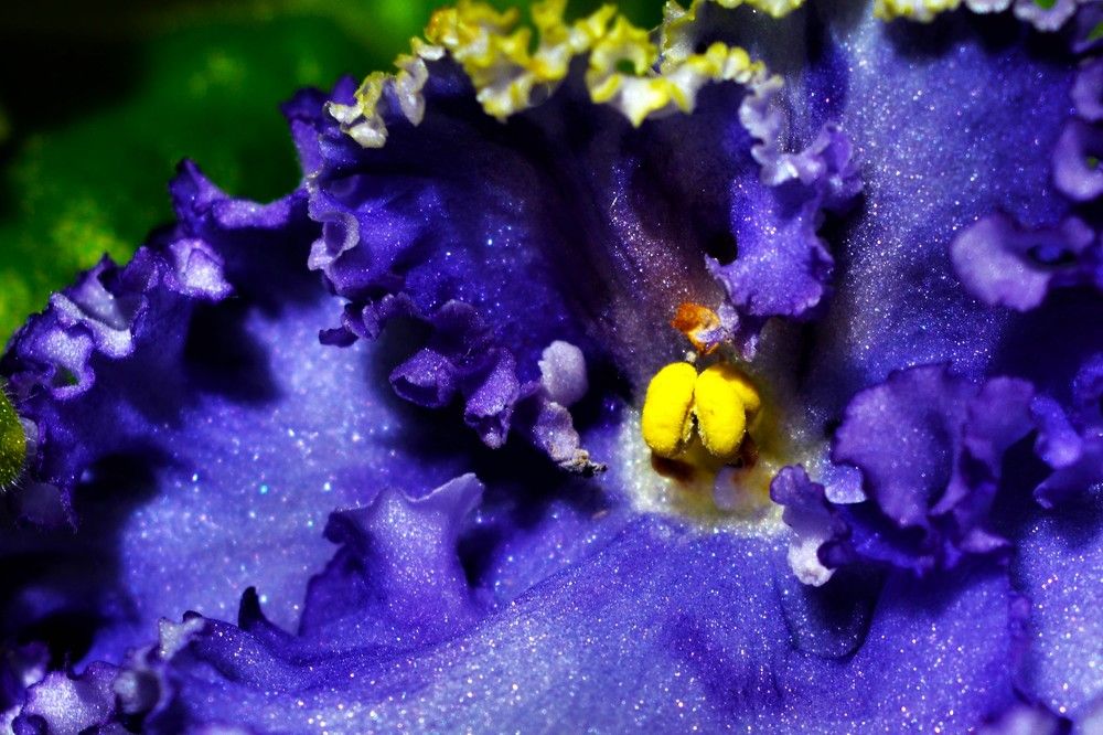 Photograph by Jozef Potocký