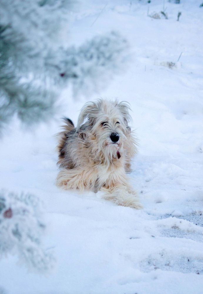 Photograph by Елена Сиднина