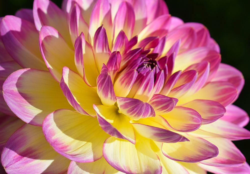 Photograph by Albina Kulikova