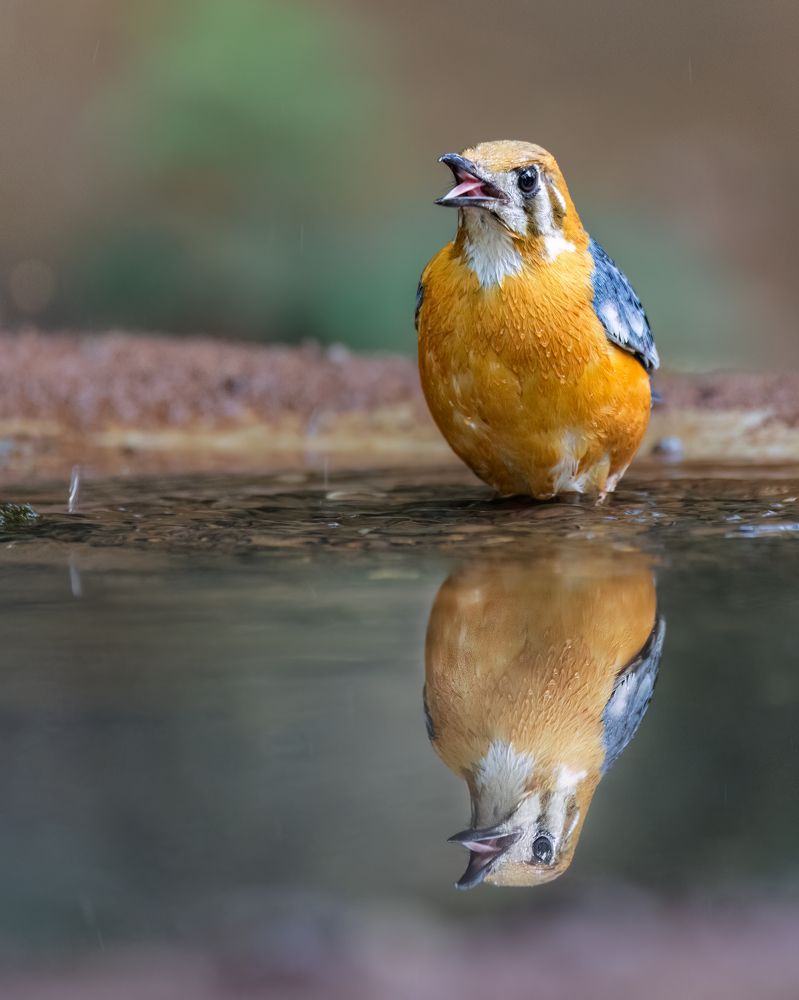 Photograph by Sandip Patel