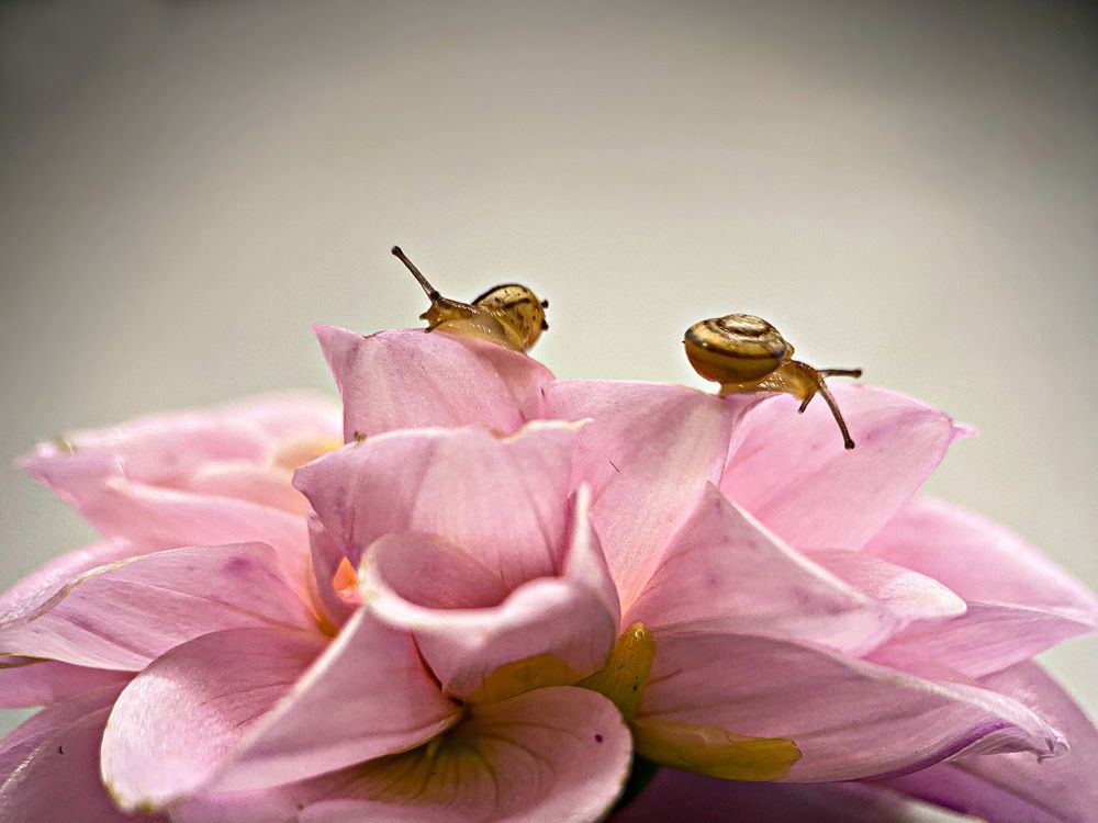 Photograph by Александра Гонтарь