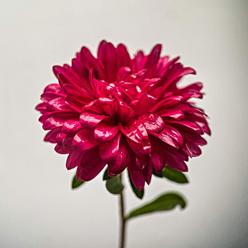 Photograph by Александра Гонтарь