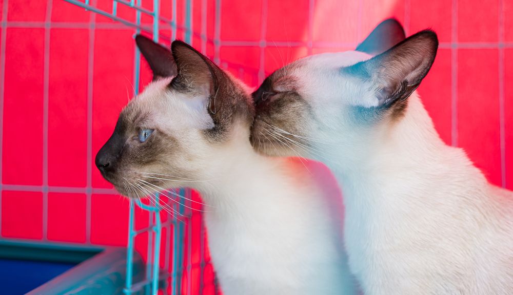 Photograph by Евгений