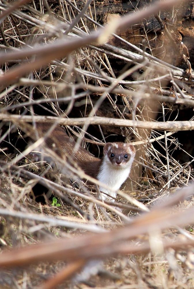 Photograph by Юрий Варюхин