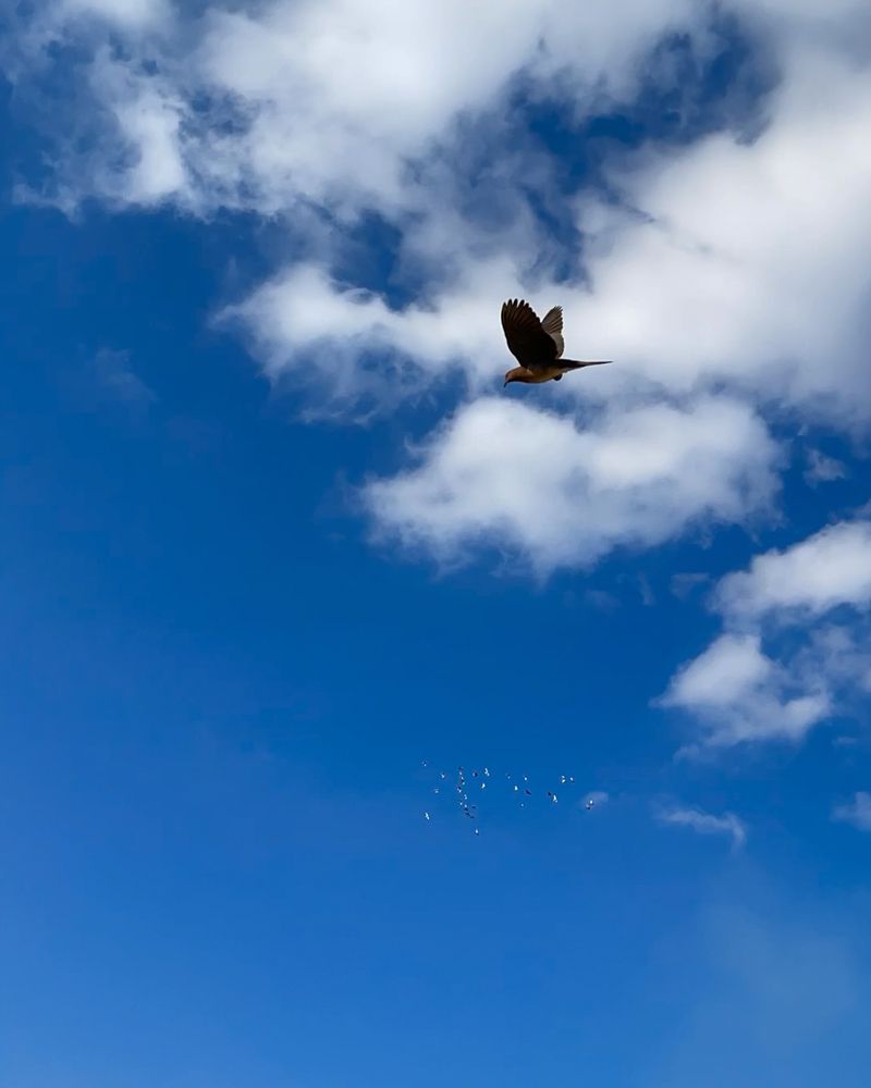 Photograph by Ahmed Saeed