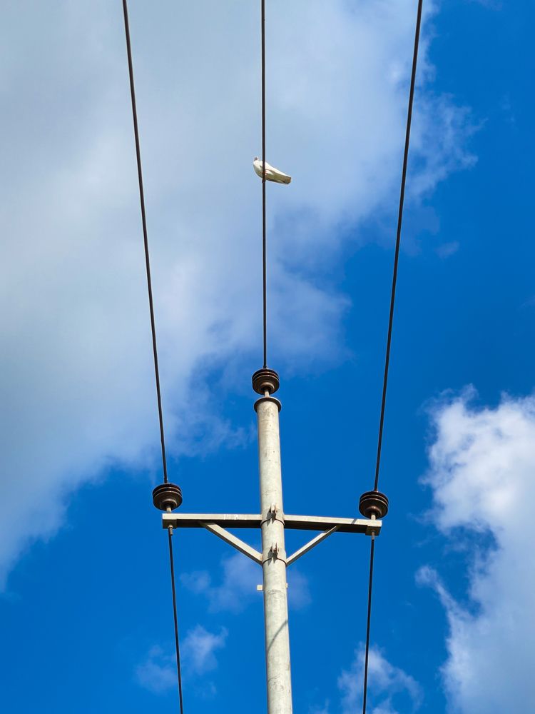 Photograph by Ahmed Saeed