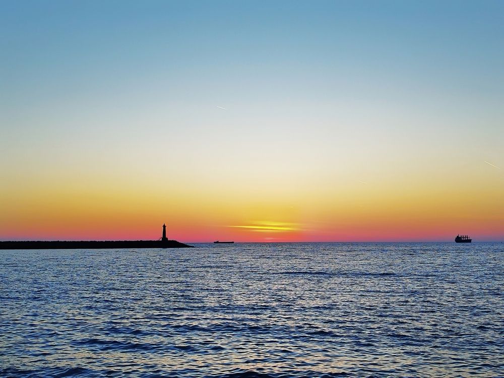 Фотография автора JELENA VASIC