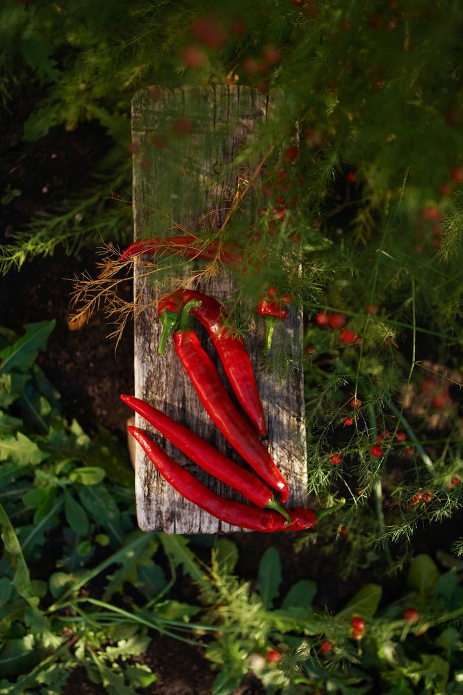 Photograph by Динара Рамилевна