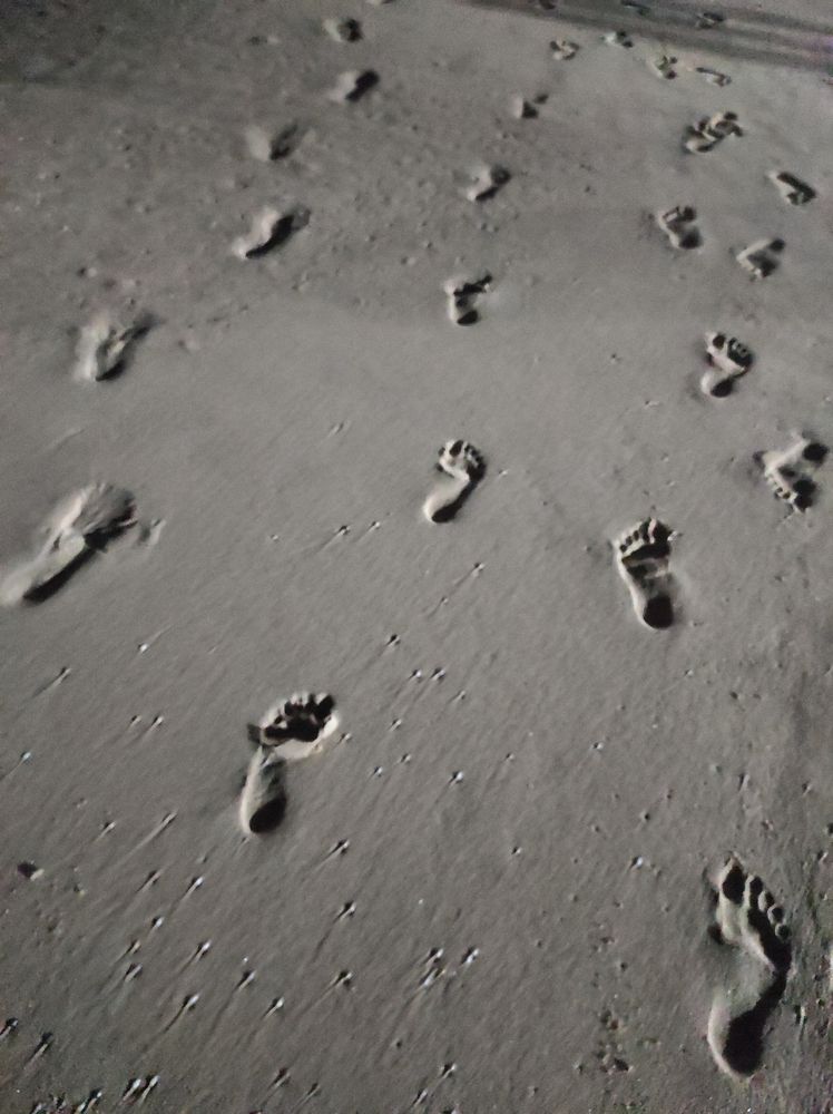 Photograph by Анна Семусева