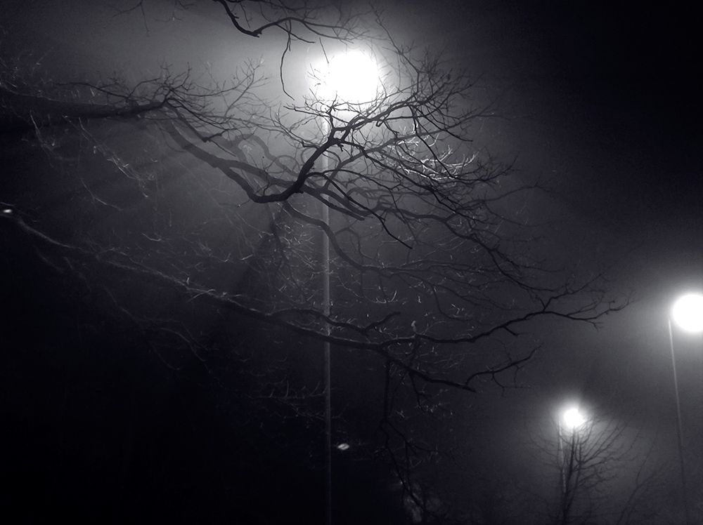 Photograph by Света