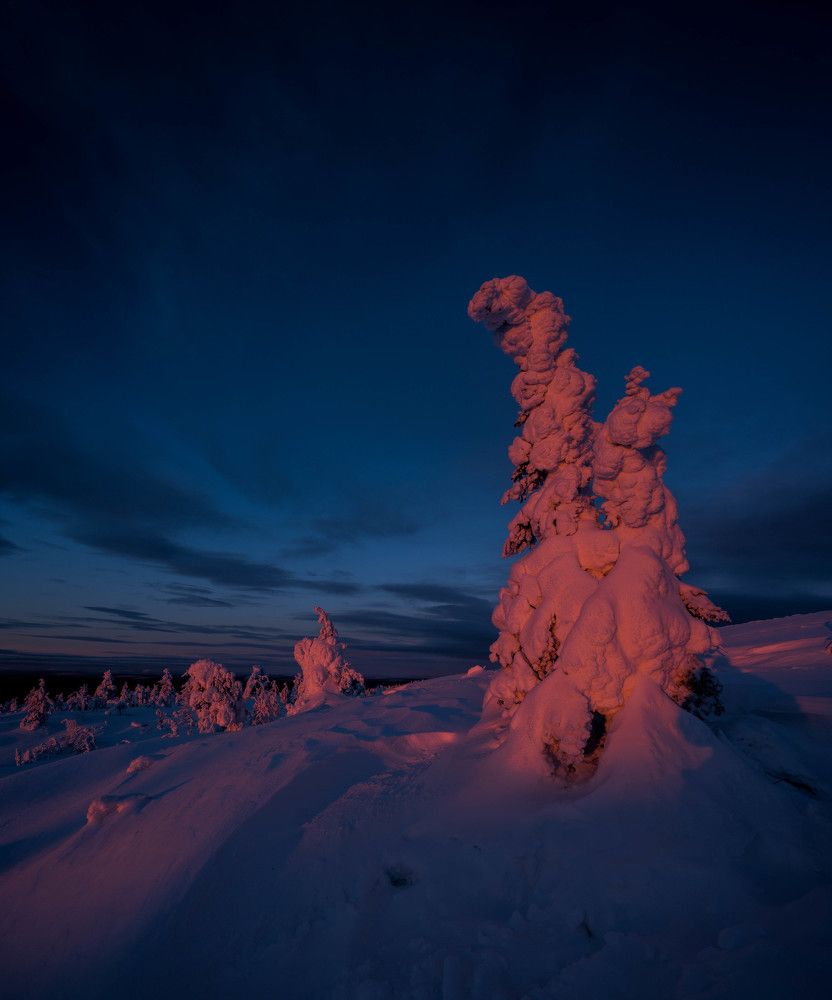 Photograph by Karasev Pavel