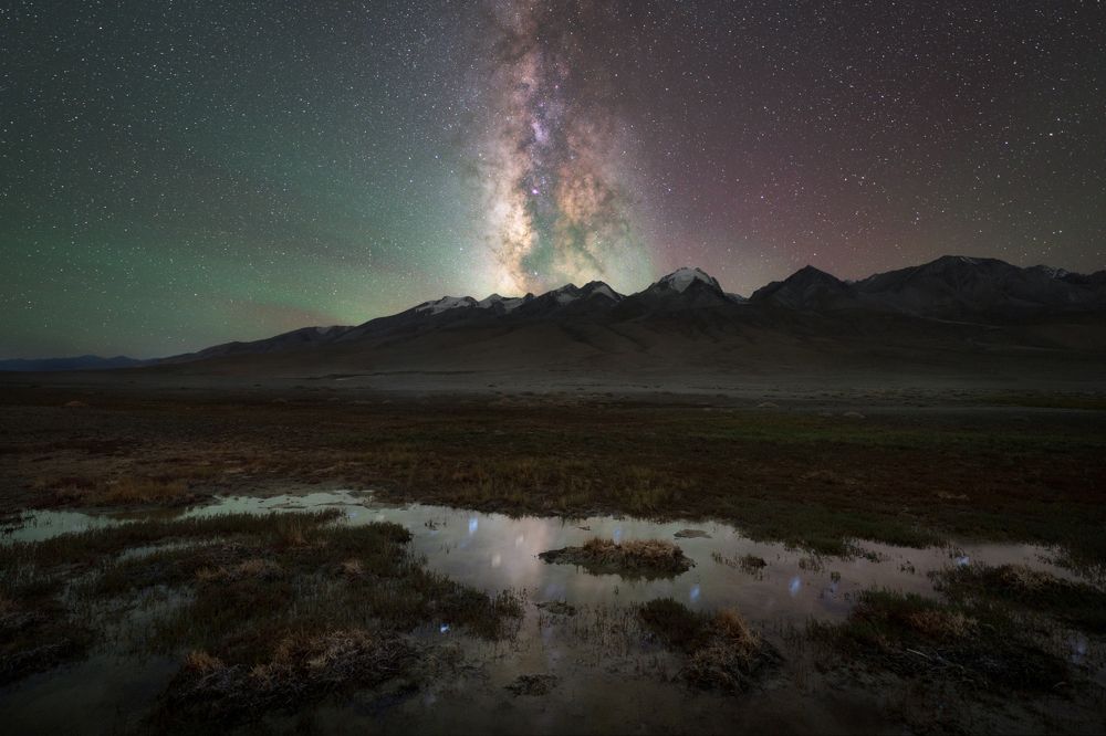 Photograph by Ranit Dholey