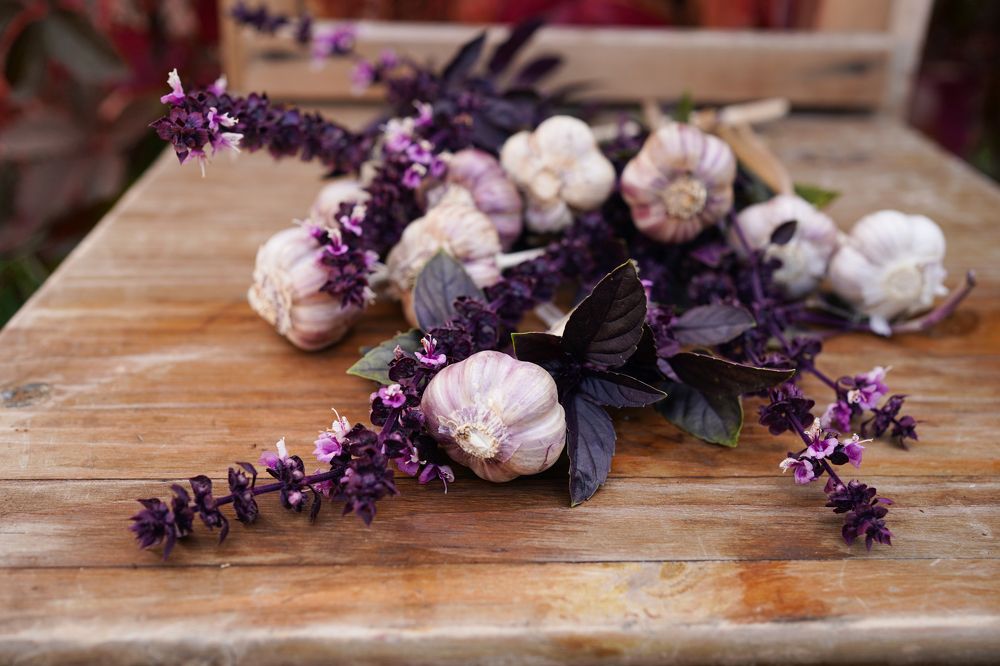 Photograph by Динара Рамилевна