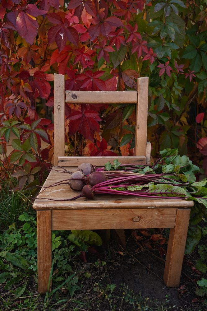 Photograph by Динара Рамилевна