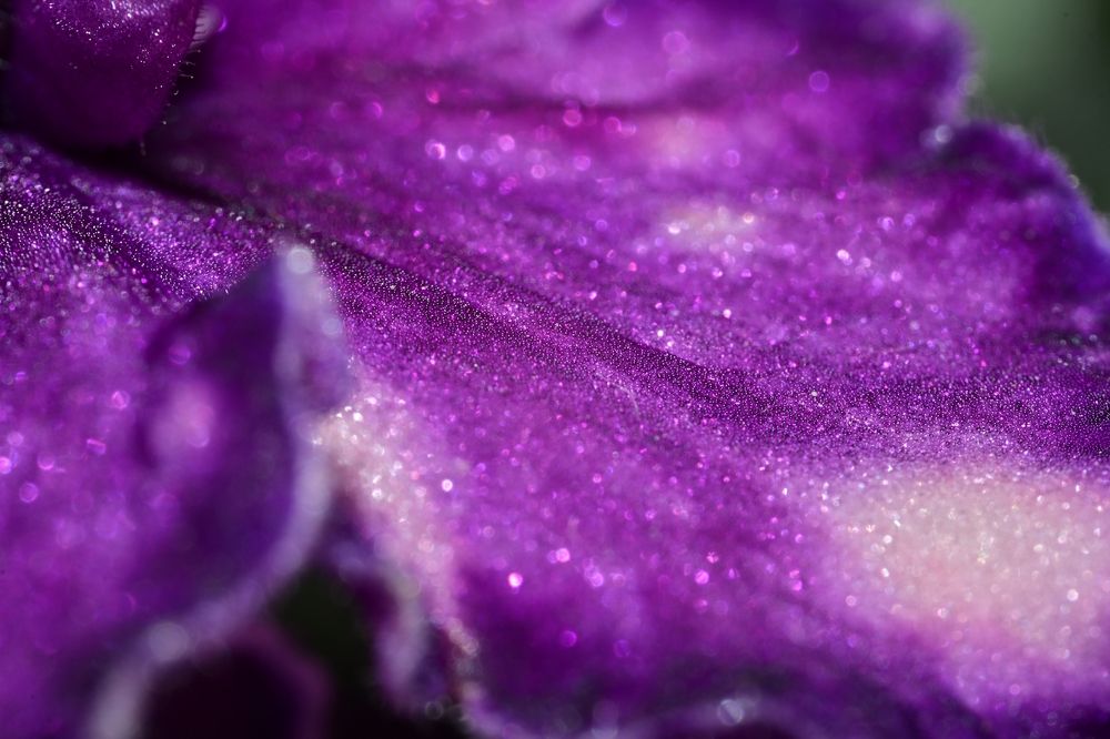 Фотография автора Vitaly Voloshin