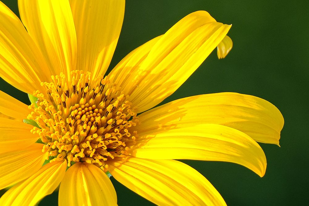 Photograph by Do Thi Thanh Binh