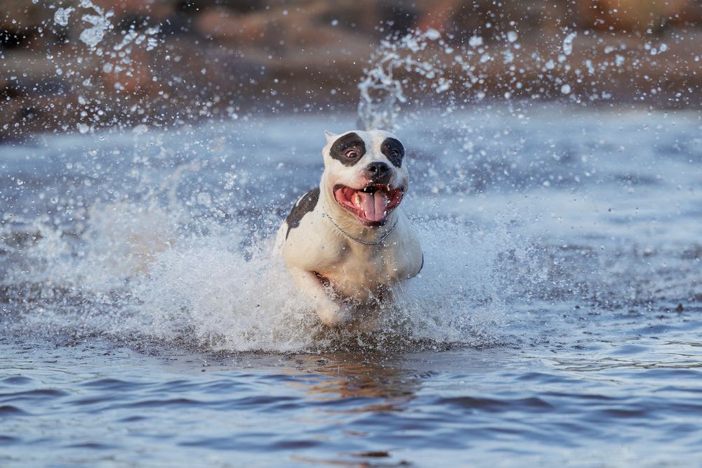 Photograph by Илья Юфа