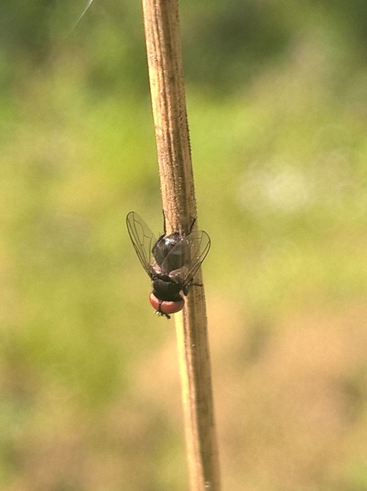 Photograph by Олеся Купча