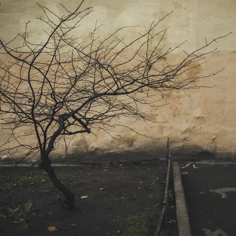 Photograph by Ольга Воронова