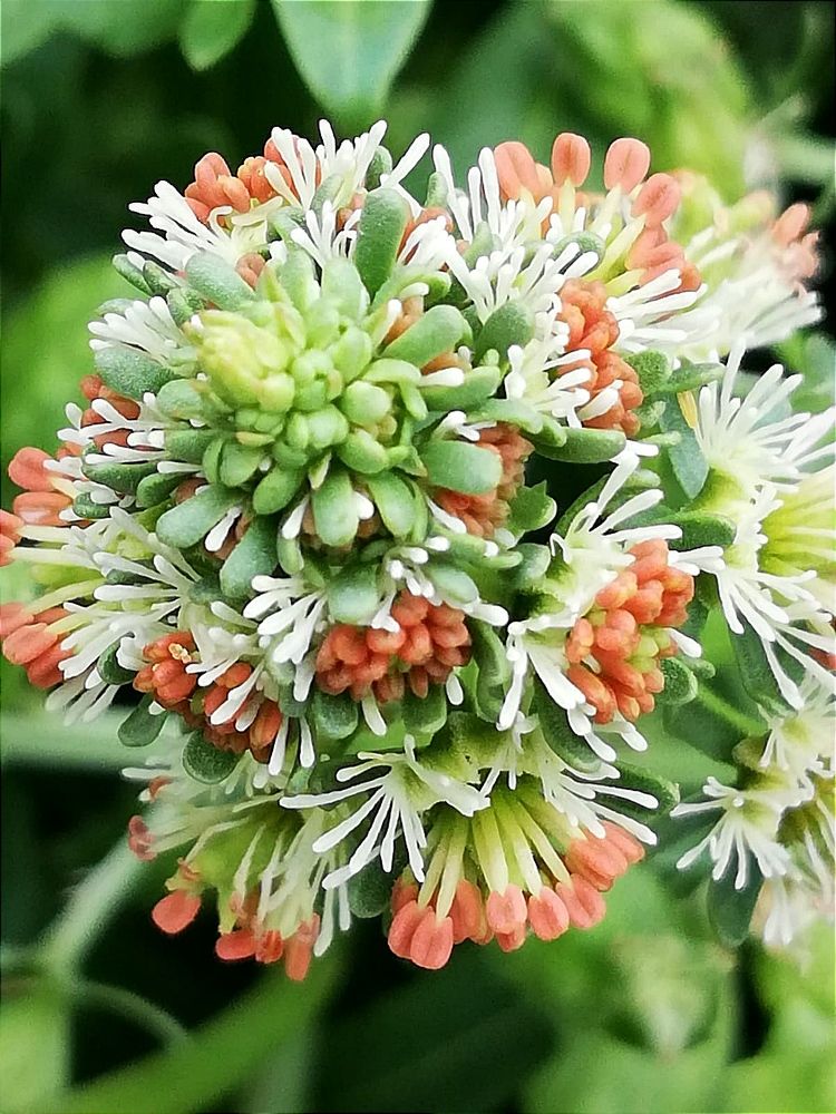 Photograph by Galina Novichkova