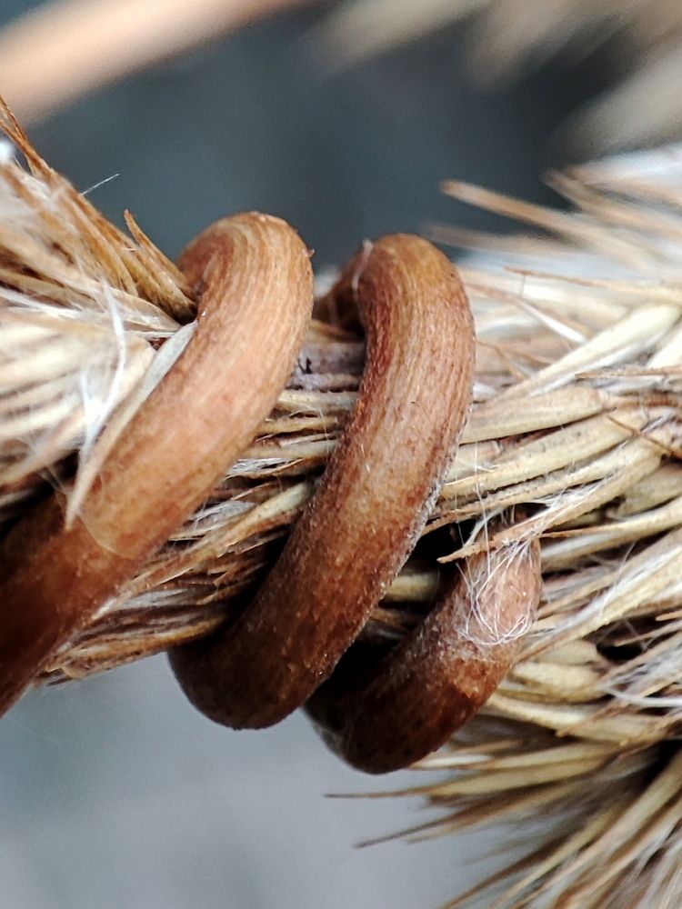 Photograph by Galina Novichkova