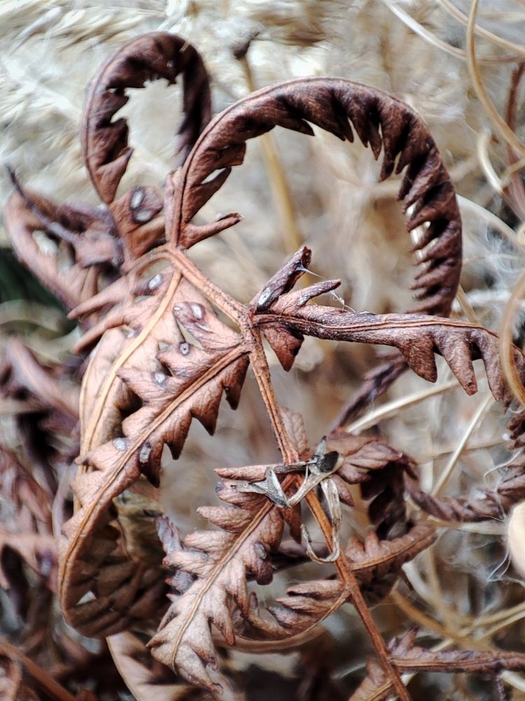 Photograph by Galina Novichkova