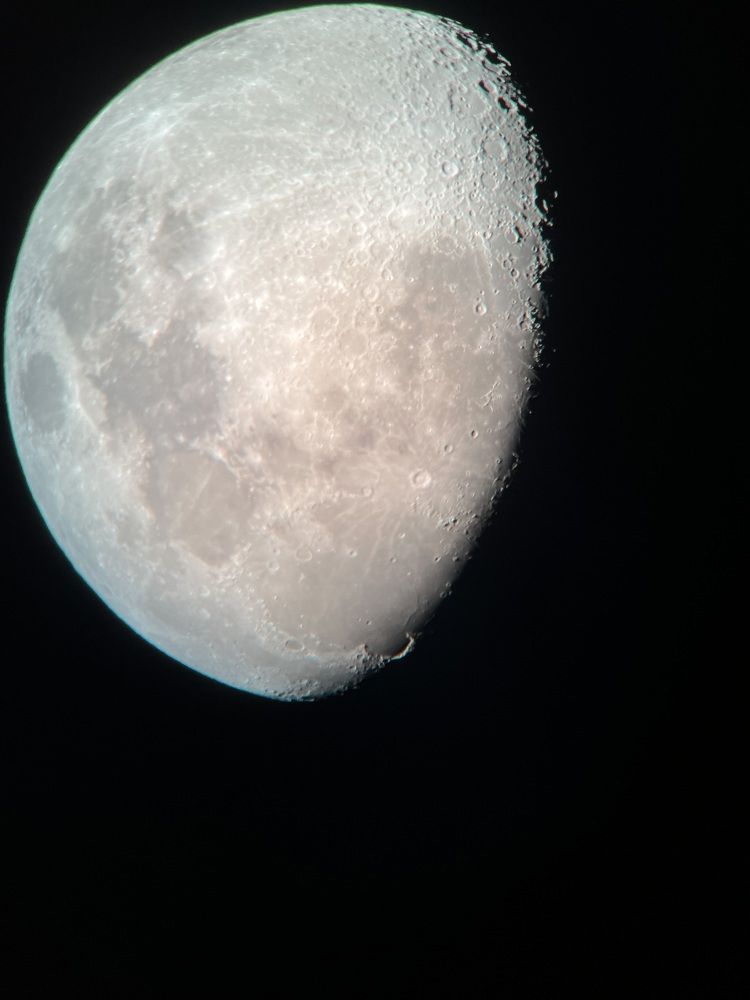 Photo #9773164