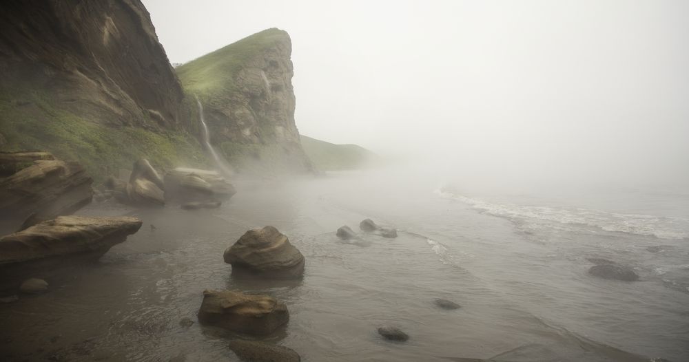Фотография автора Ксения Зайцева