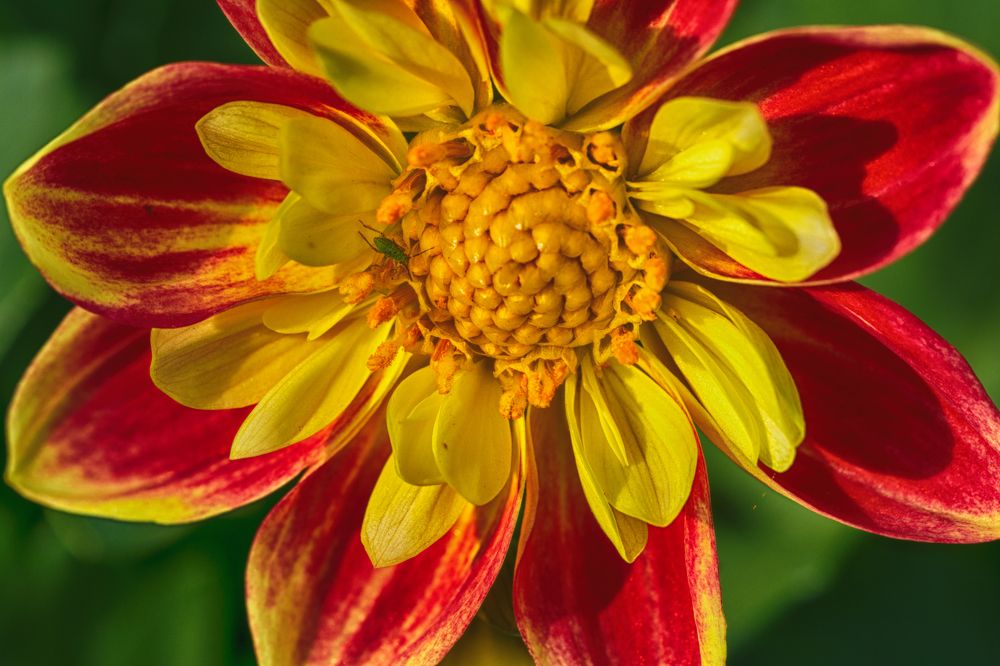 Photograph by Олег Сальников