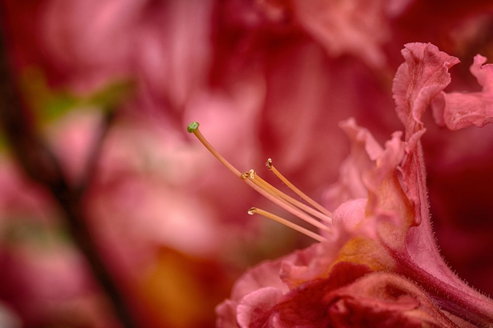 Photograph by Олег Сальников