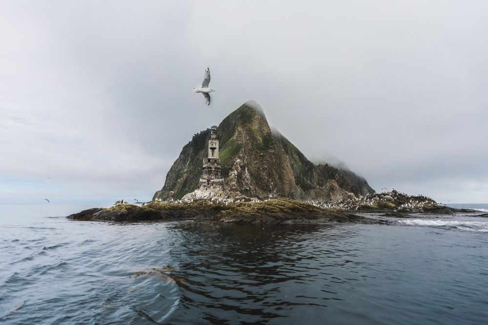 Фотография автора Ксения Зайцева