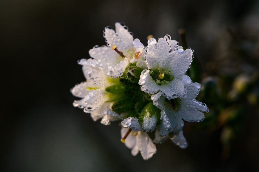 Photograph by Олег Сальников