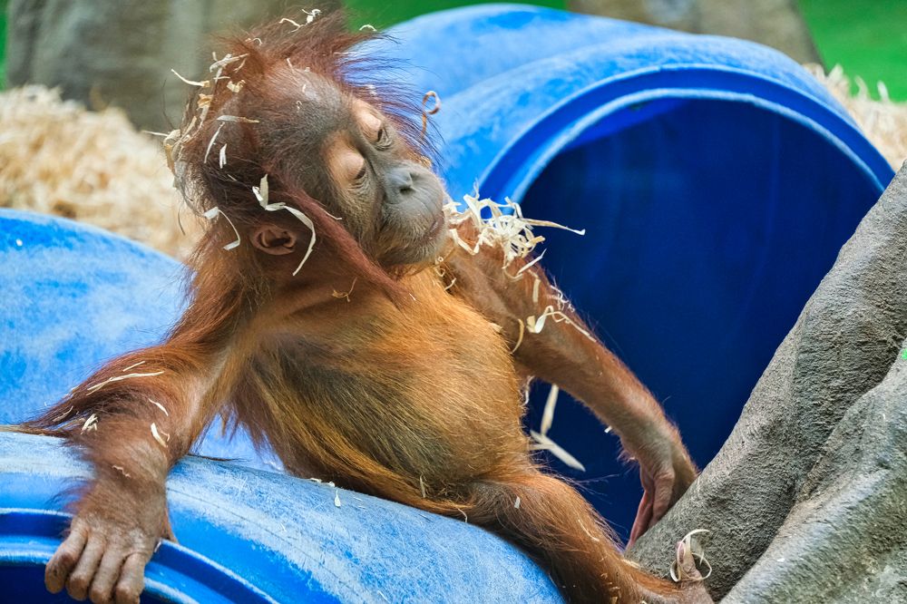 Photograph by Ильдар Балеев