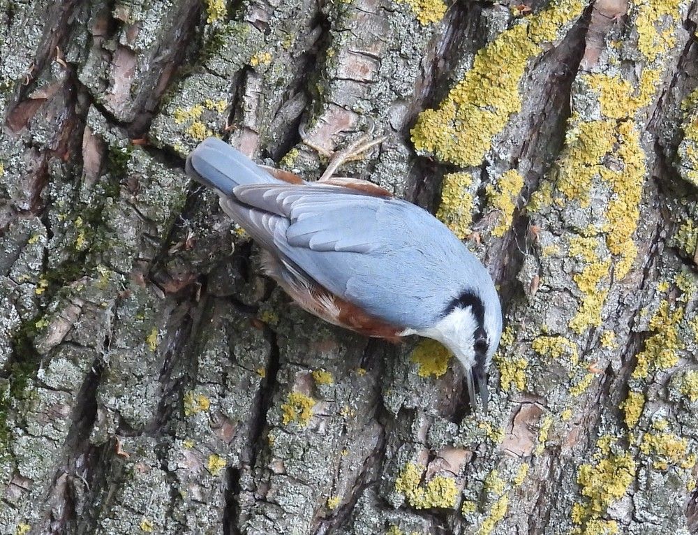 Photograph by Владимир Джерихов