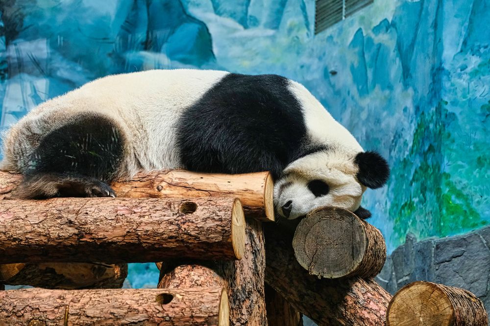 Photograph by Ильдар Балеев