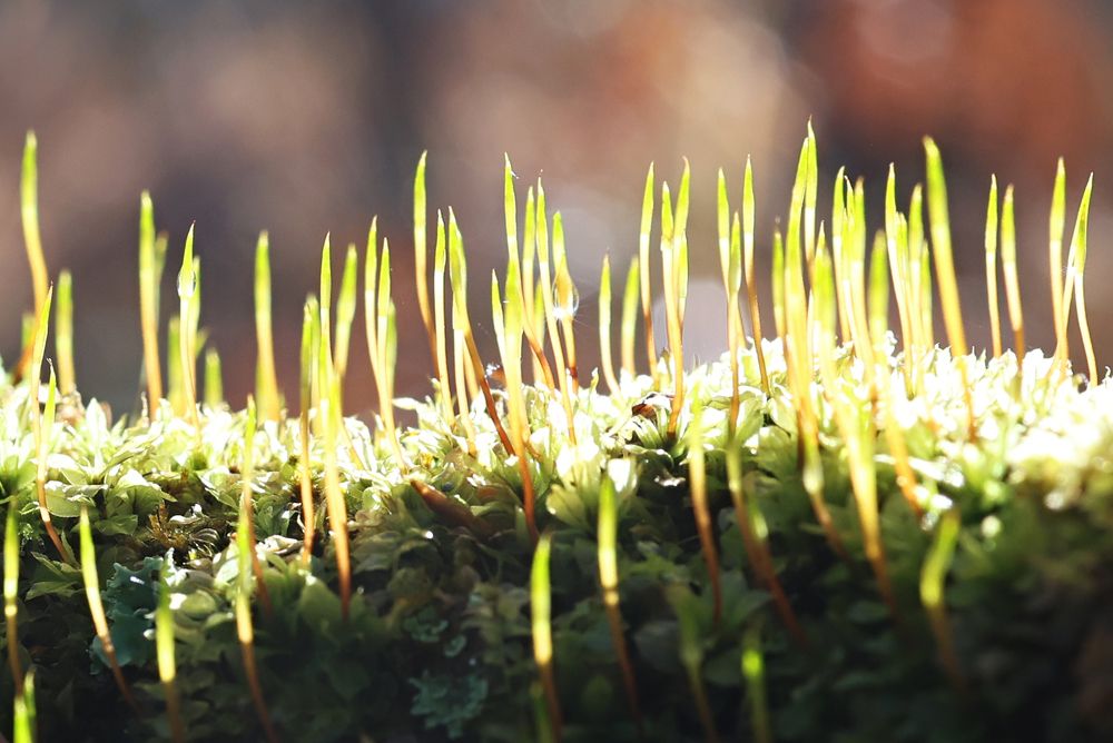 Фотография автора Галина Аверьянова