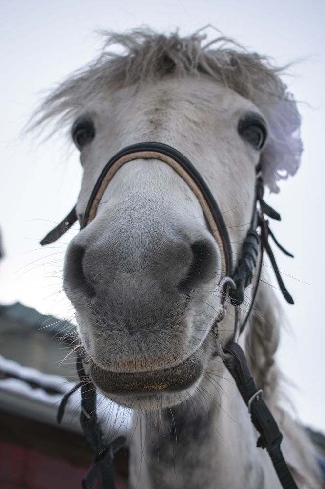 Photograph by Николай Владимирович