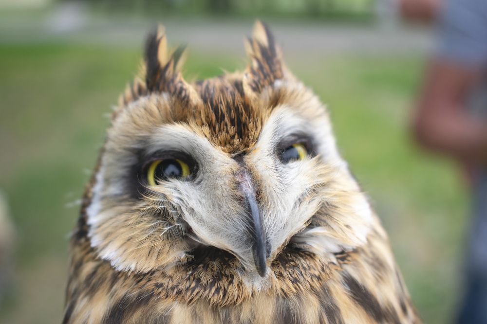 Photograph by Николай Владимирович