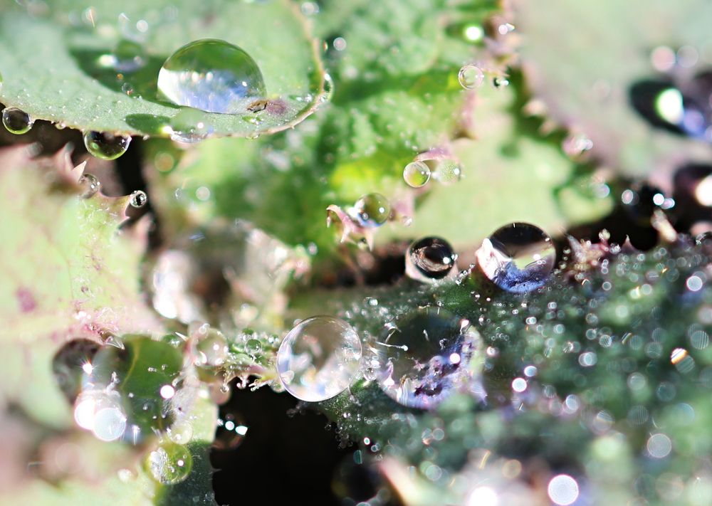 Фотография автора Галина Аверьянова