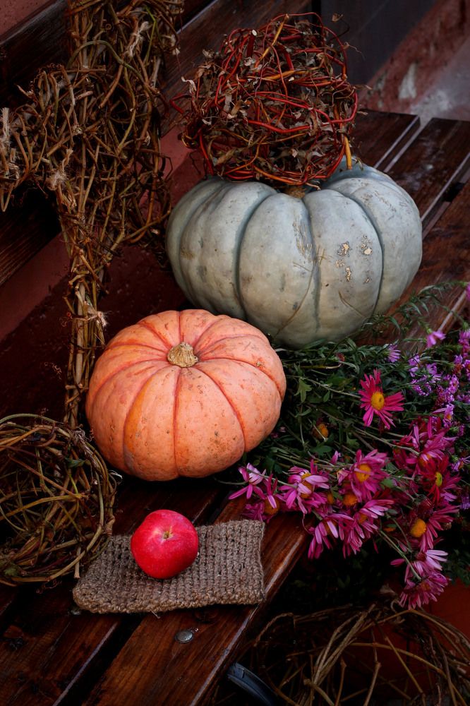 Фотография автора Любовь Харина