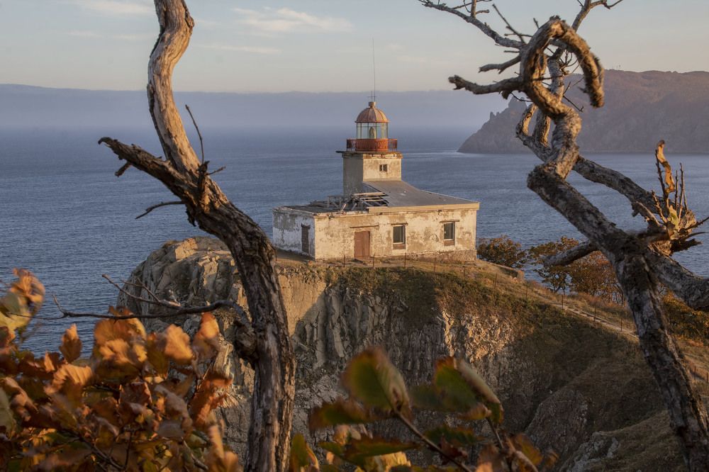 Photograph by Добролюбова Тамара